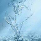 紫寂星辰的厨房