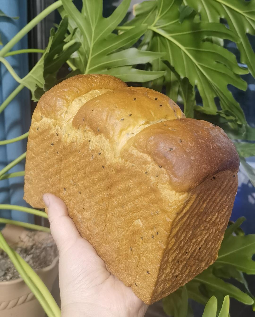 全蛋版本的直接法北海道吐司