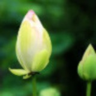 如夏斑斓