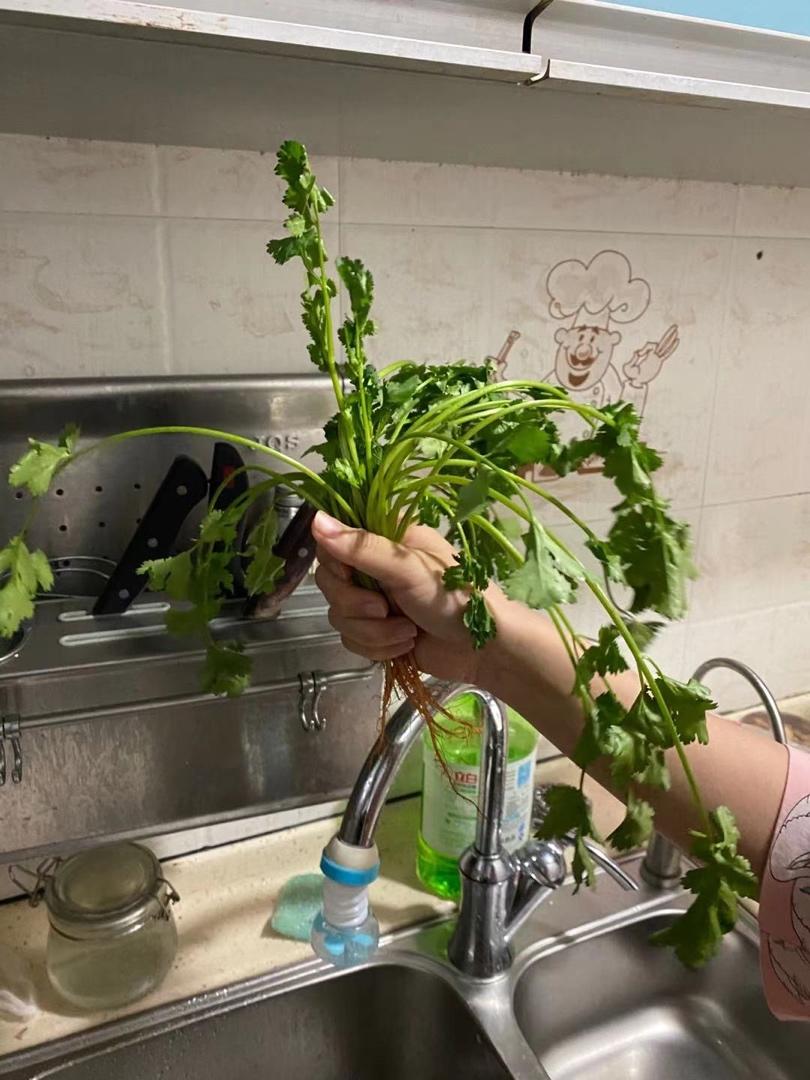 香菜保存方法：放冰箱养