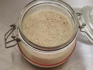 天然酵母山形白吐司—鲁邦种的做法 步骤1