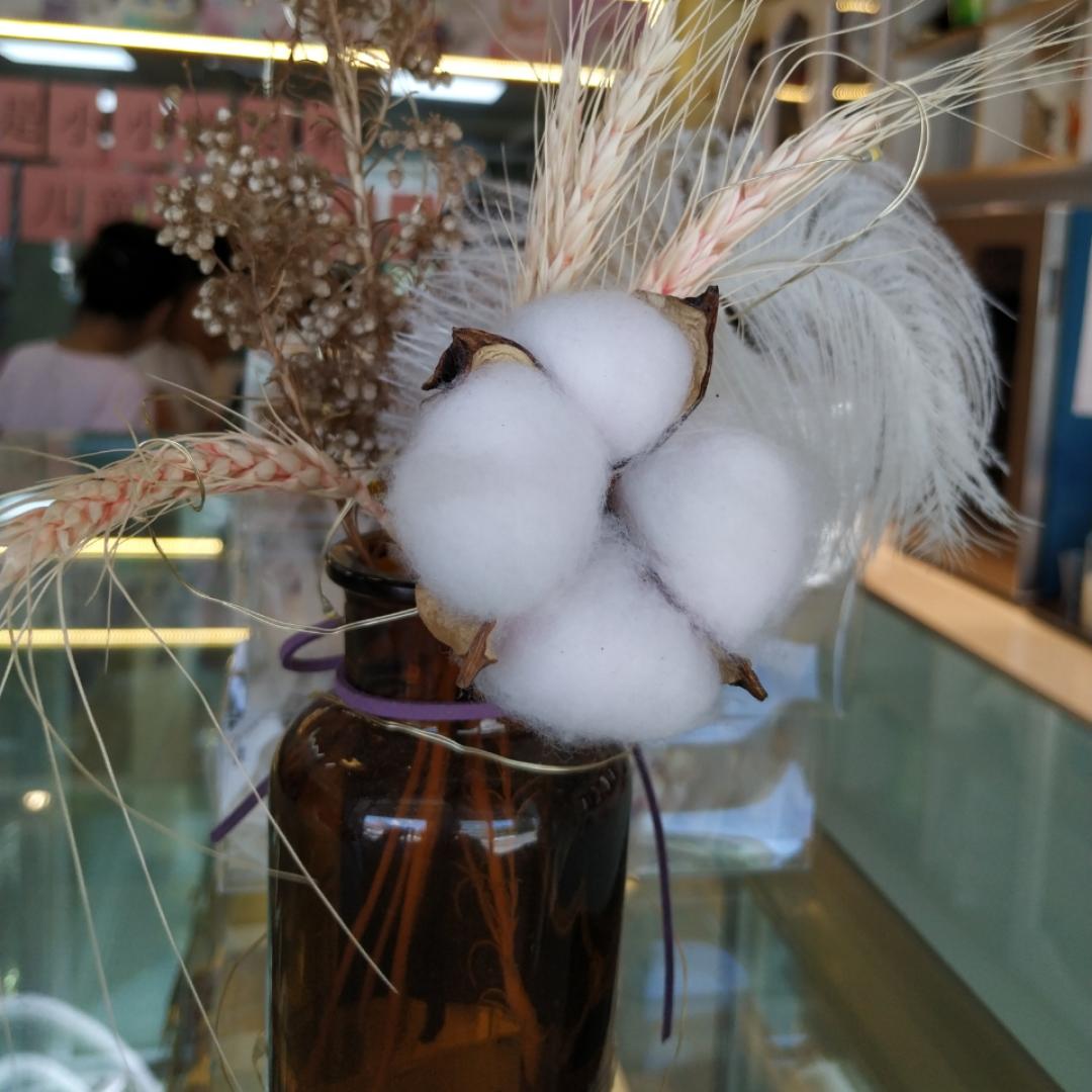 一抹阳光Sunshine