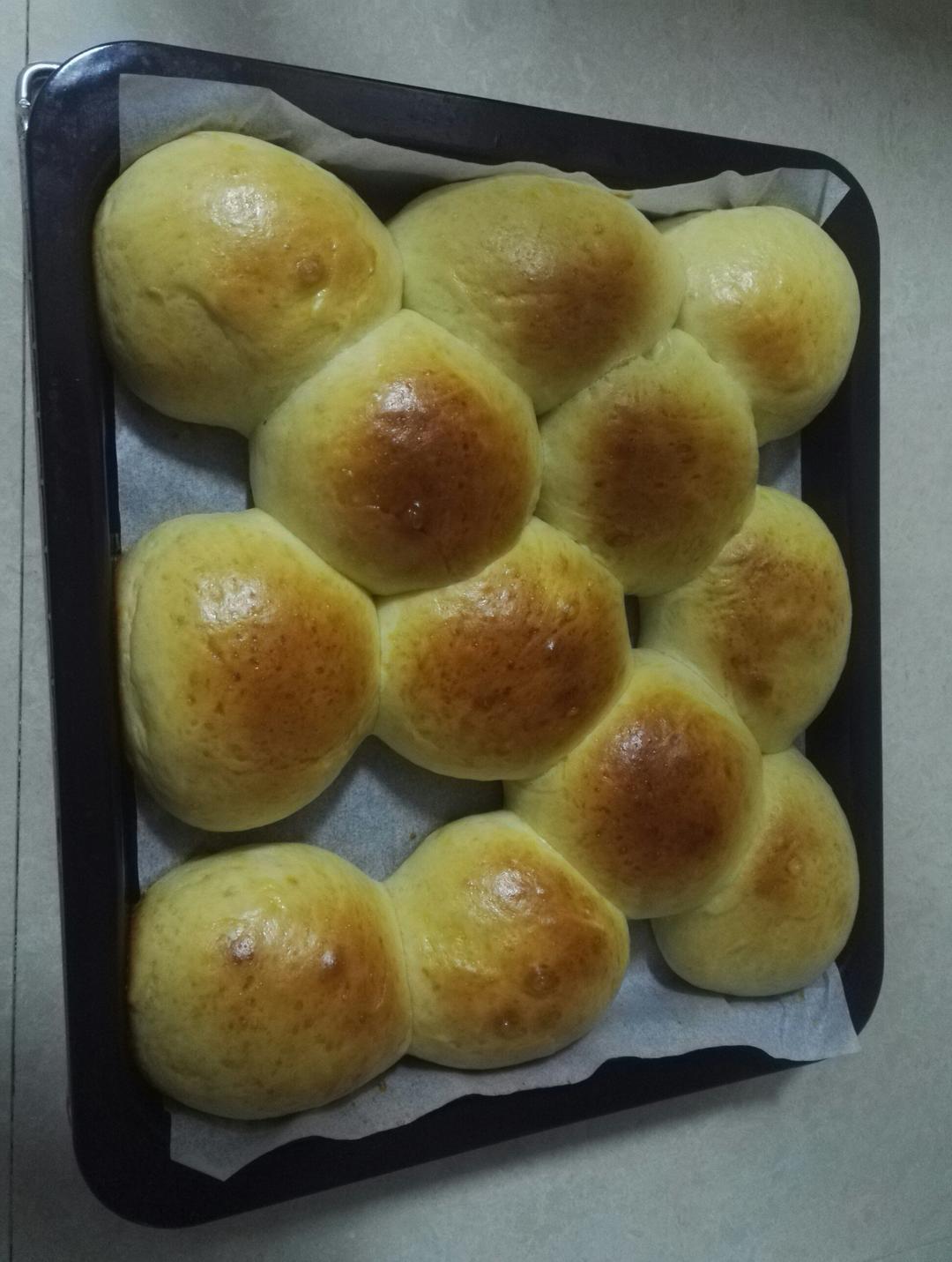 鲜奶油小餐包（一次发酵）