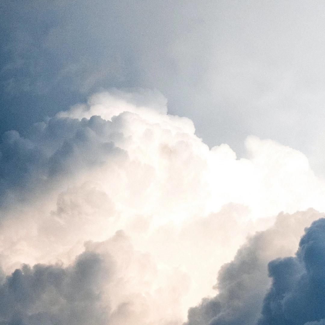 我有一头小墨驴