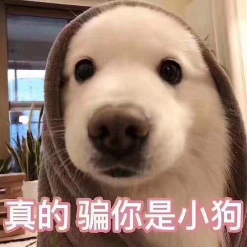 小cccccccccccc