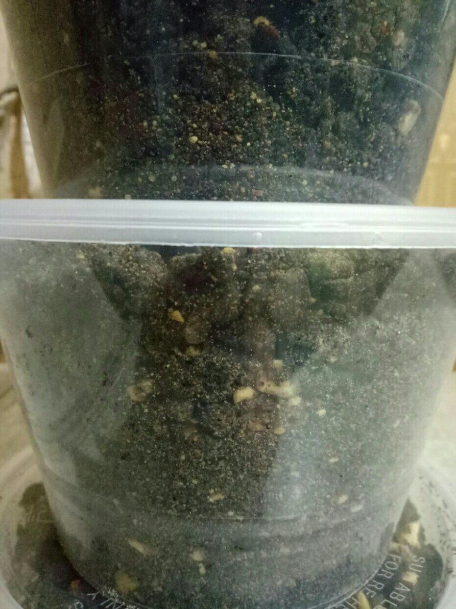 防掉发.乌发.强肾代餐粉（11种材料）