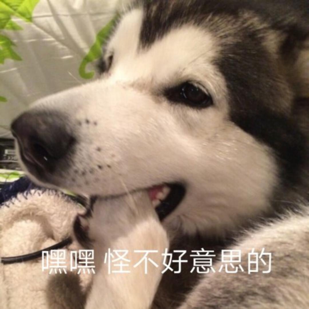 王仙生的小可爱