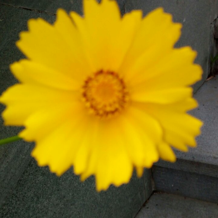 手机用户6922_0t57