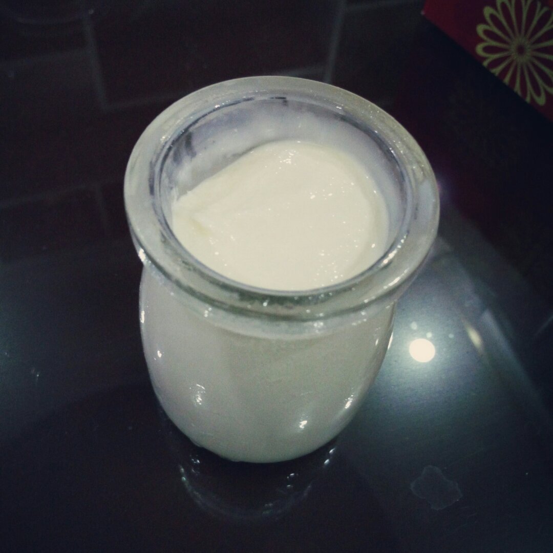 单-细胞tt做的牛奶布丁