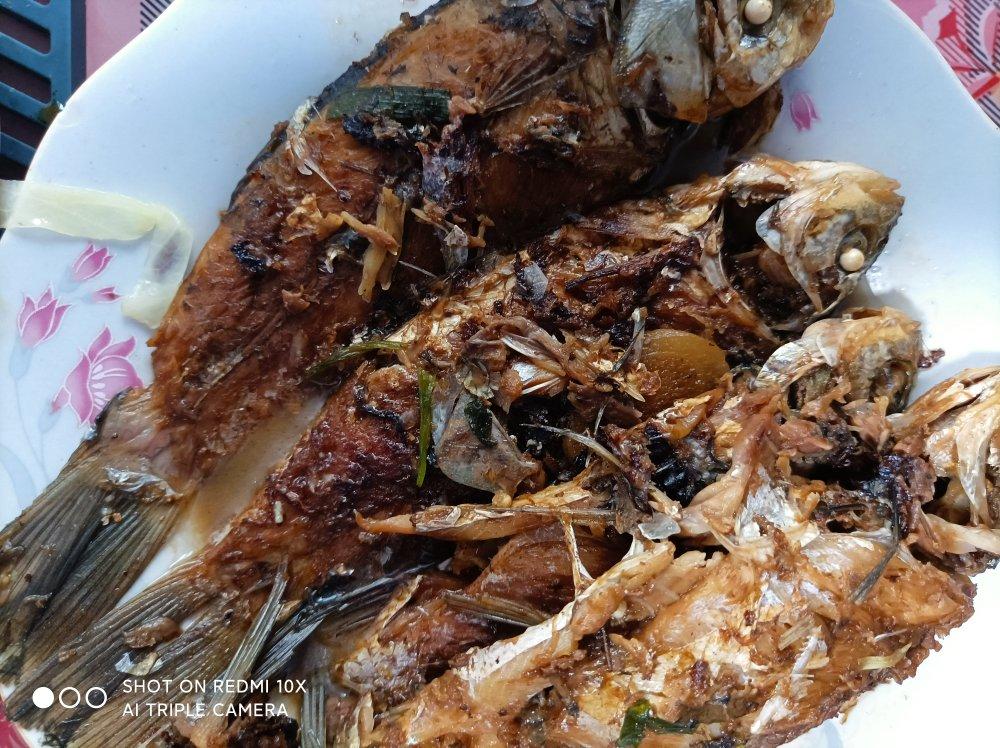 零失败红烧鲫鱼