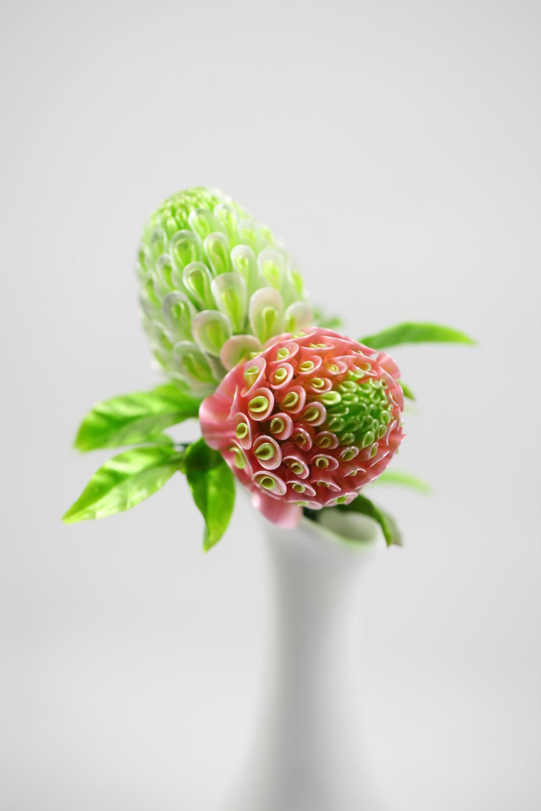 糖艺 无名果制作