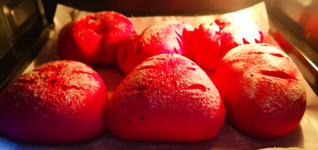 火龙果全麦软面包