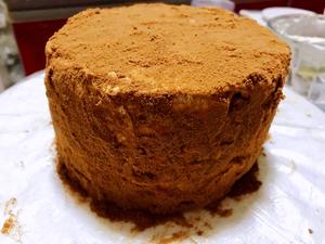 俄式提拉米苏蛋糕，成功率极高的烘焙甜品的做法 步骤17