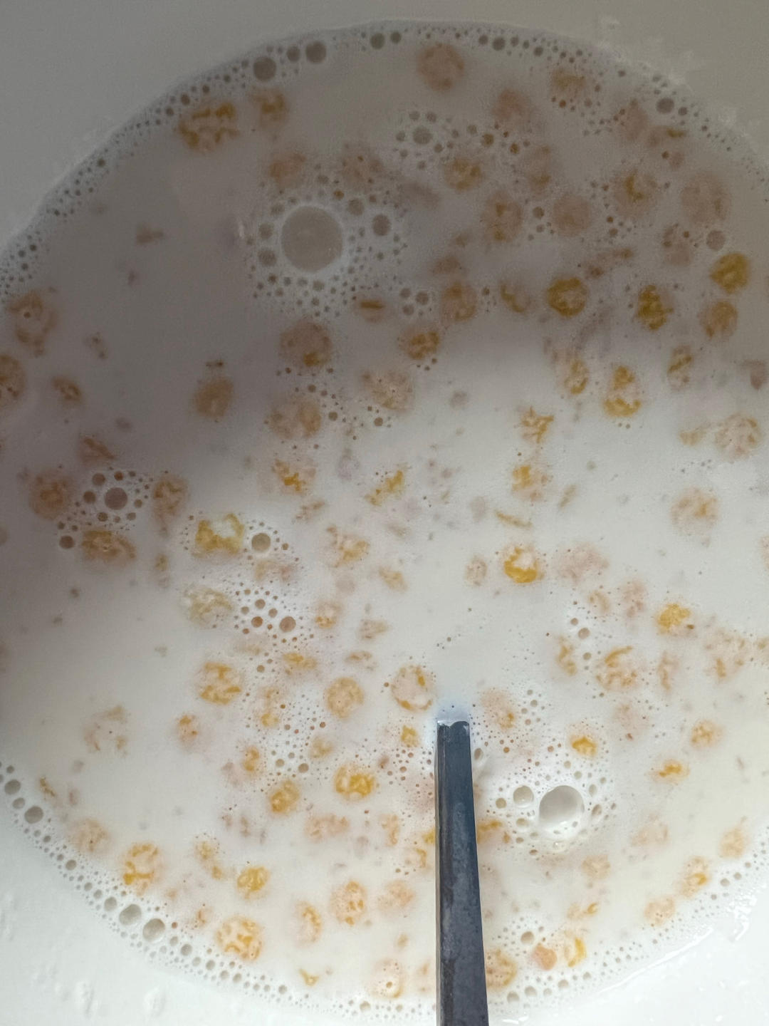 玉米燕麦牛奶粥+苹果