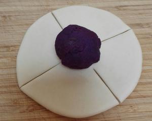 花式紫薯包的做法 步骤3
