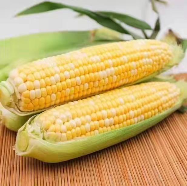 美食之家