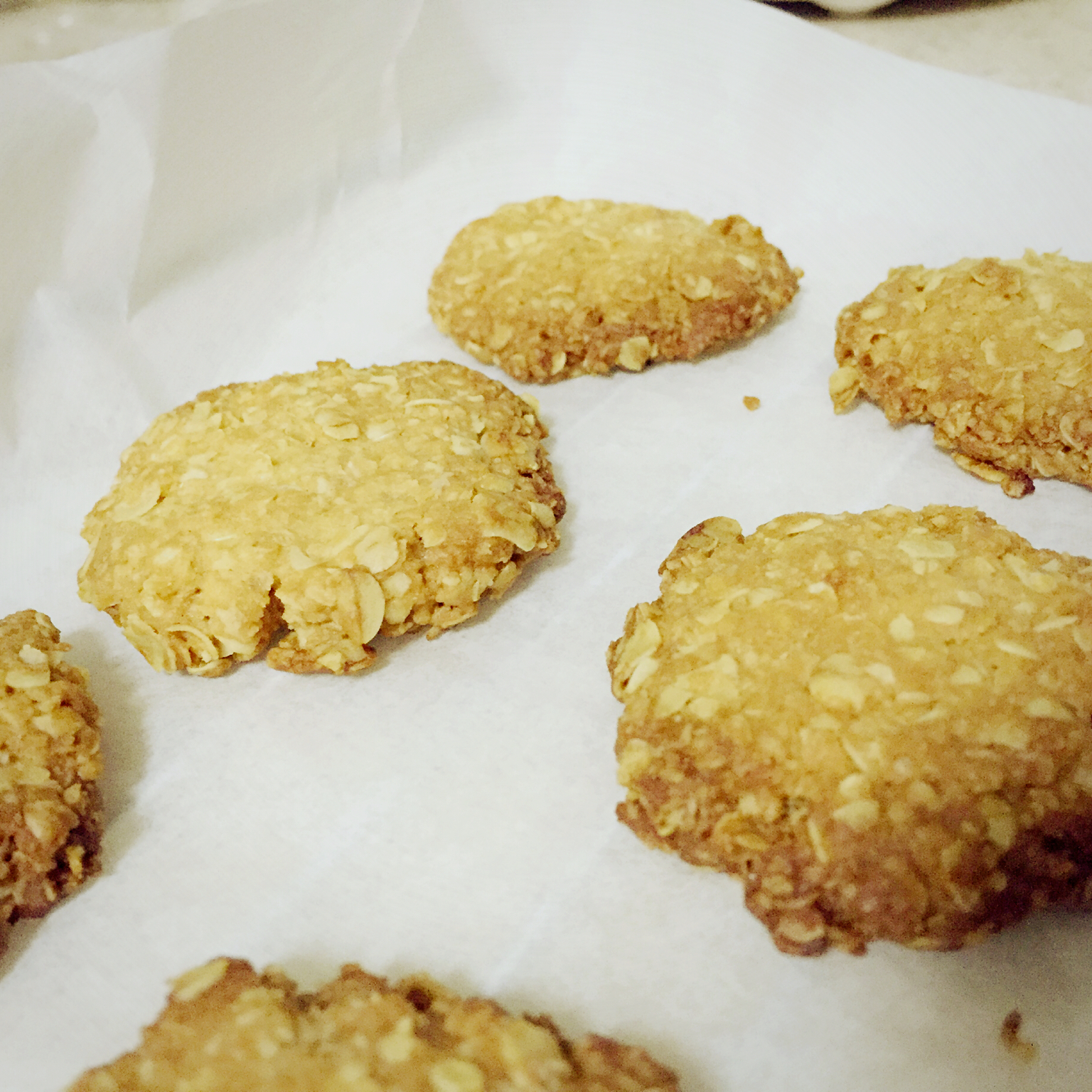 燕麦饼干（小嶋）
