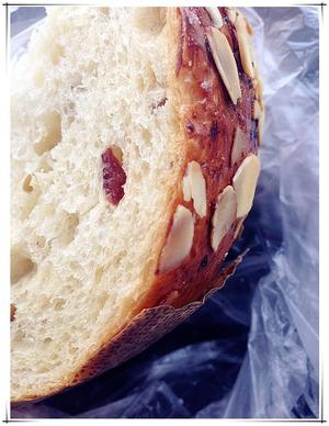 节日面包--天然酵种潘妮托尼（Panettone)的做法 步骤9