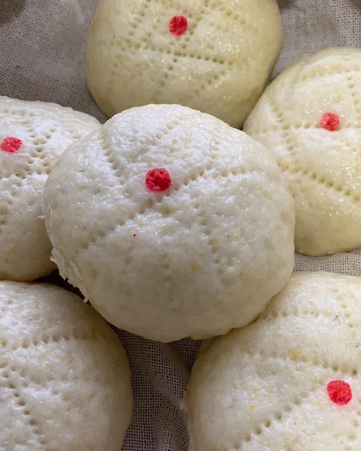蒸饼儿的全部作品