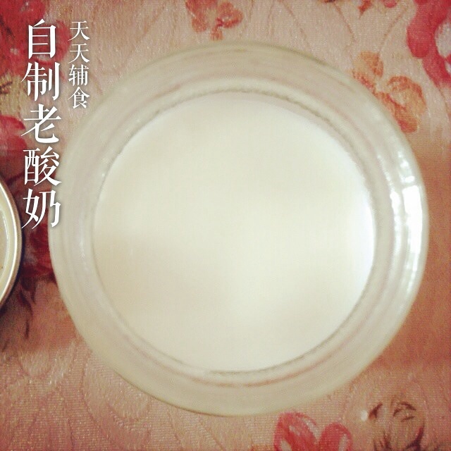 自制老酸奶的做法 步骤4