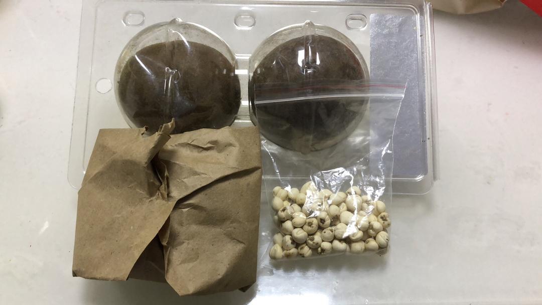 止咳棒棒糖 棒棒糖🍭