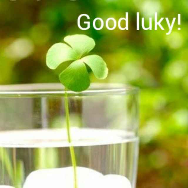 ai� 四叶草²⁰¹⁷