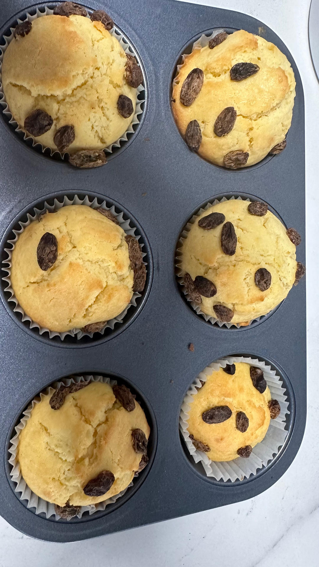 蘑菇头Muffin Cake玛芬蛋糕(麦芬蛋糕）