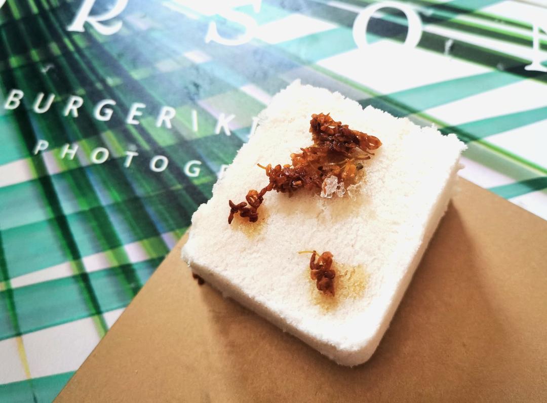 中式传统小方糕 松糕 米糕 蒸糕