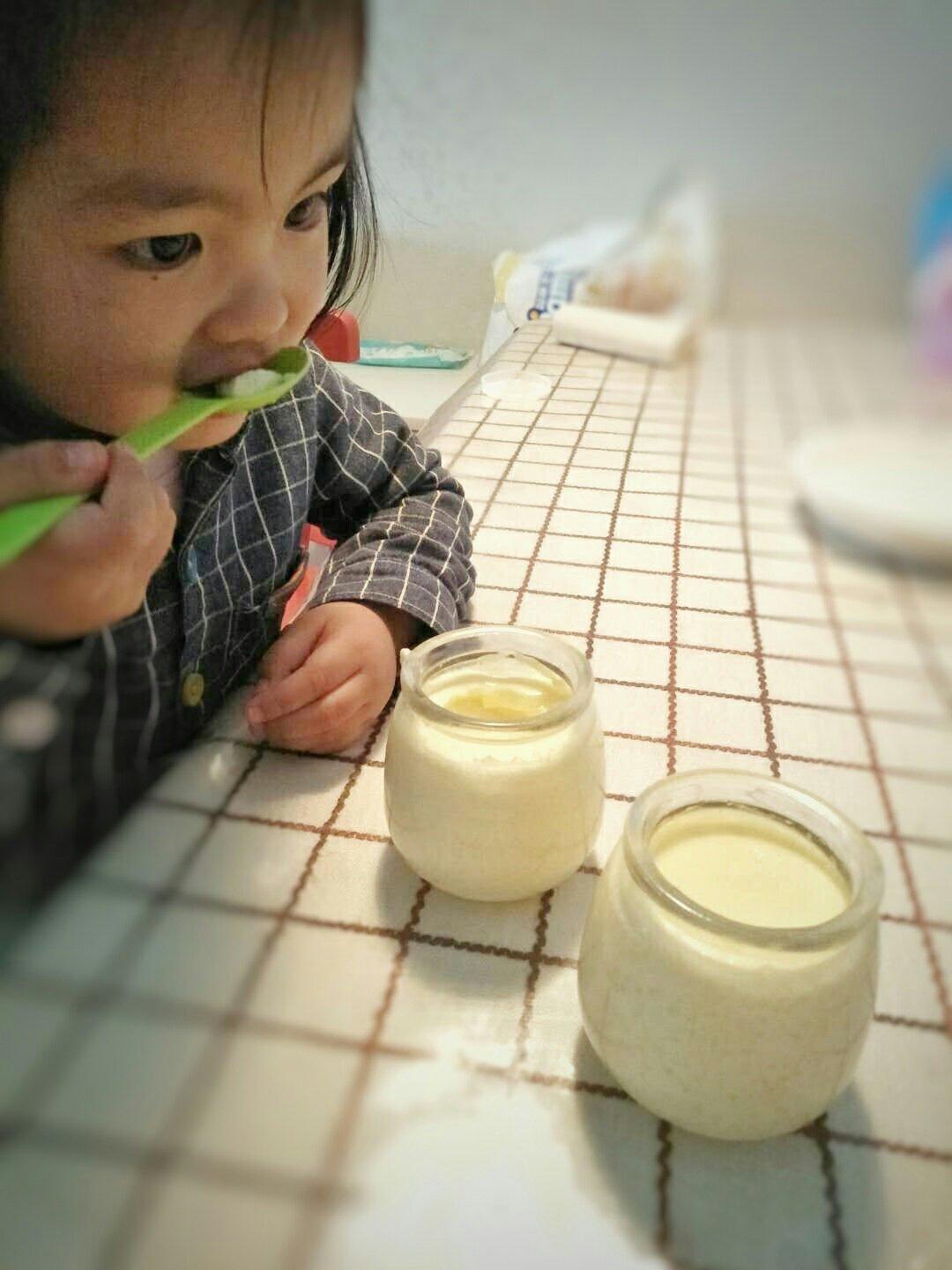 简单易学牛奶鸡蛋布丁