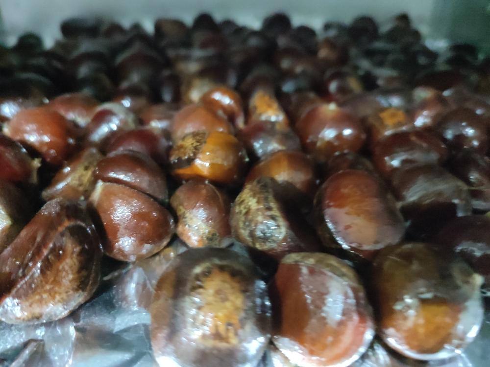 烤栗子🌰