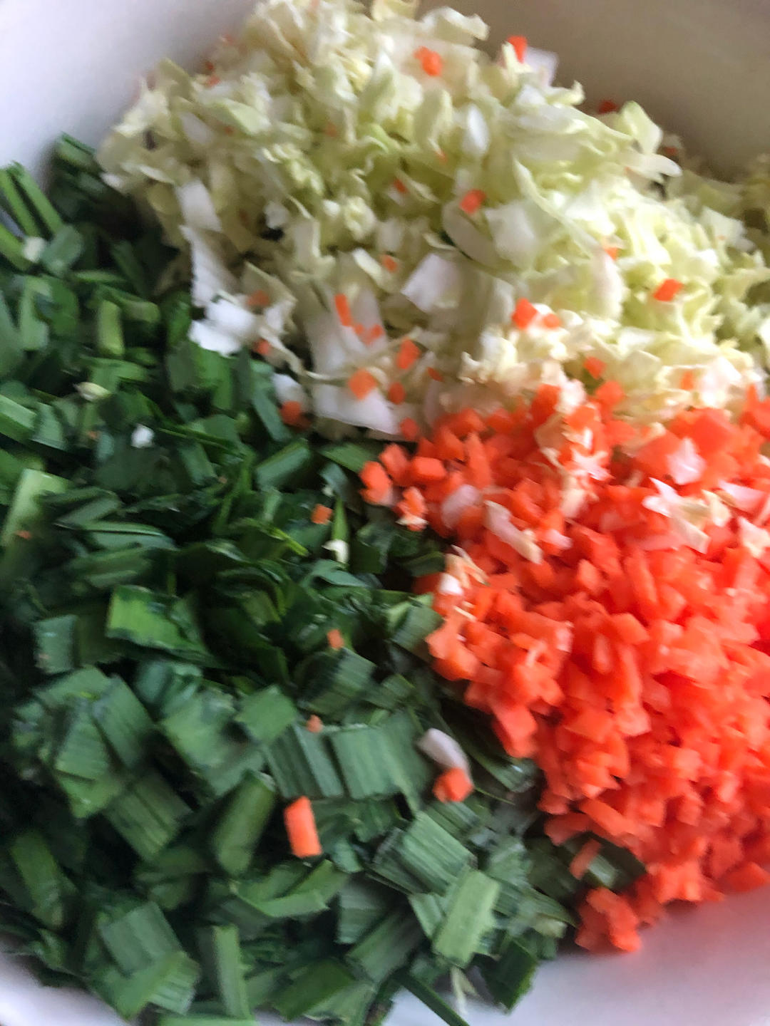 堂妈小厨——金牌韭菜肉丁水煎包