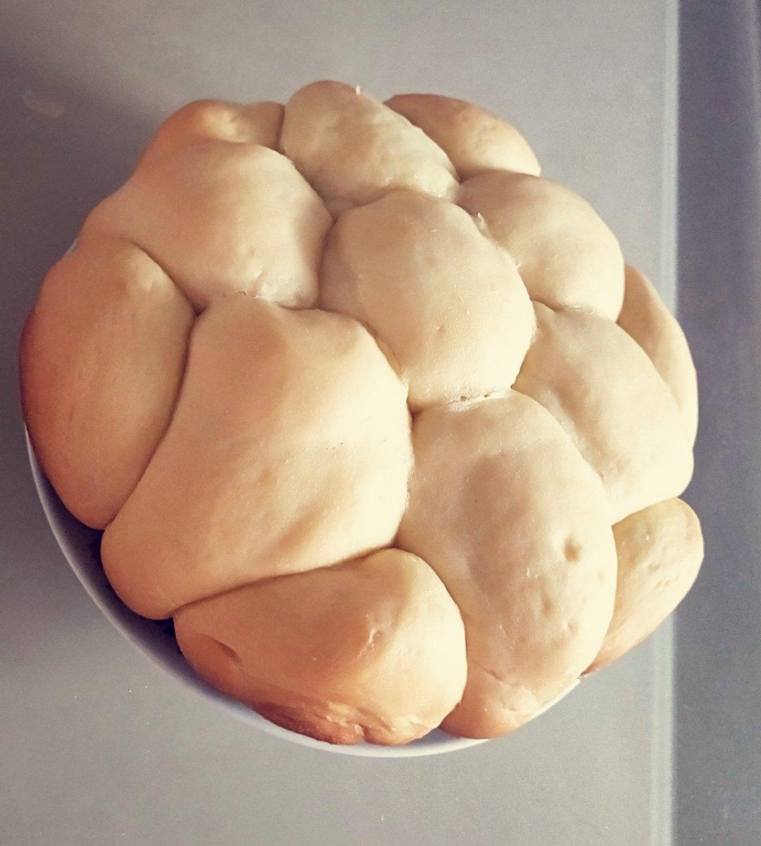 用电饭锅一次发酵做出好吃的面包（无需揉出膜）