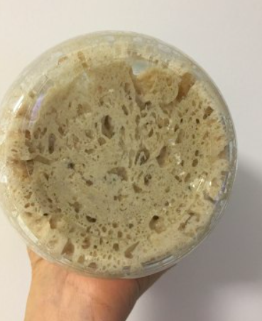 杂项6：天然酵种（葡萄干）培养的做法