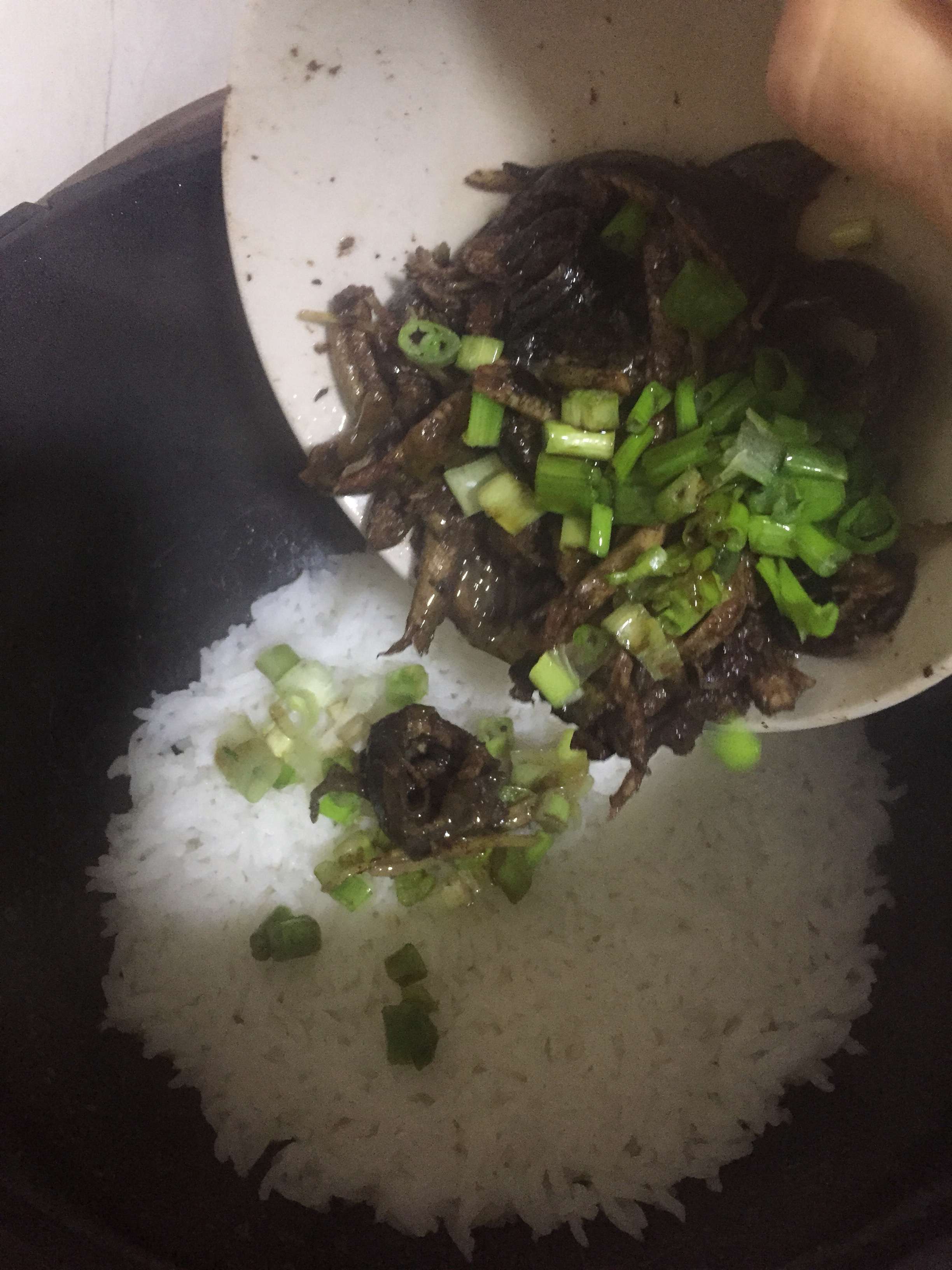 电饭锅煮出台山黄鳝饭的美味的做法 步骤11