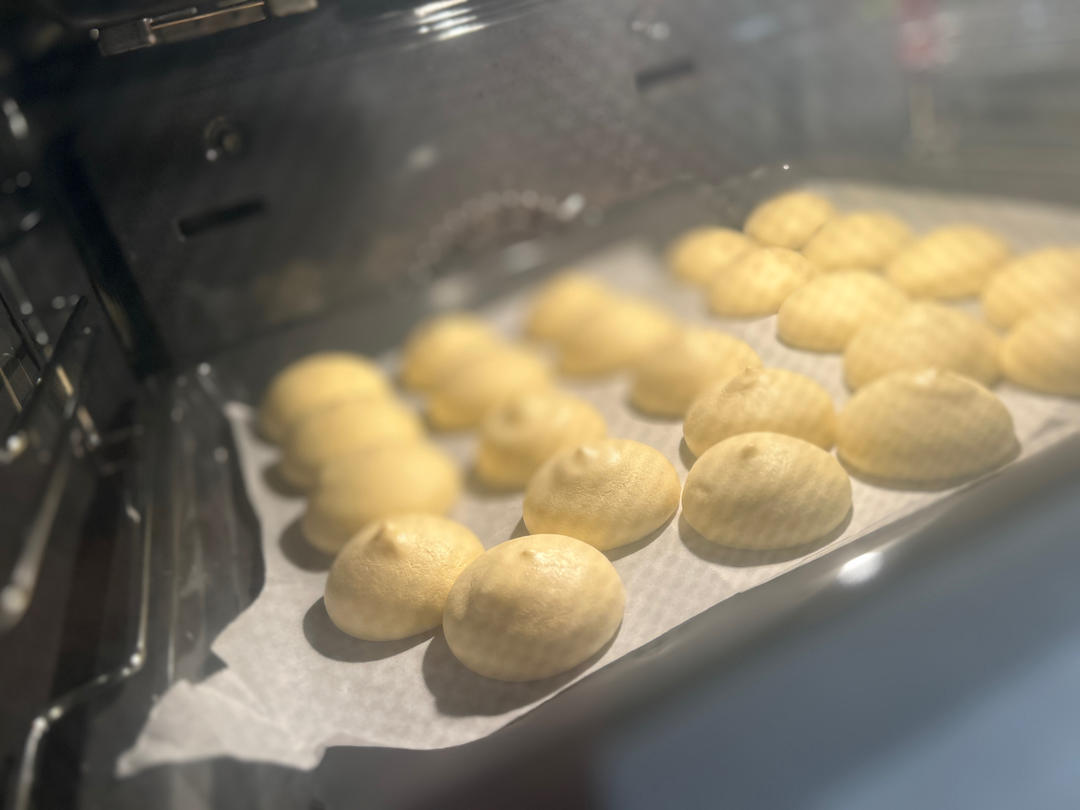 胖嘟嘟圆滚滚咬一口可以回弹的肉松小贝