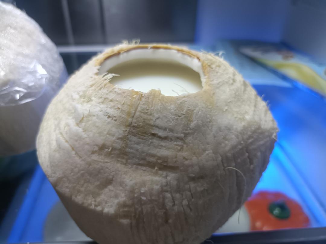 奶香椰奶冻🥥｜超简单