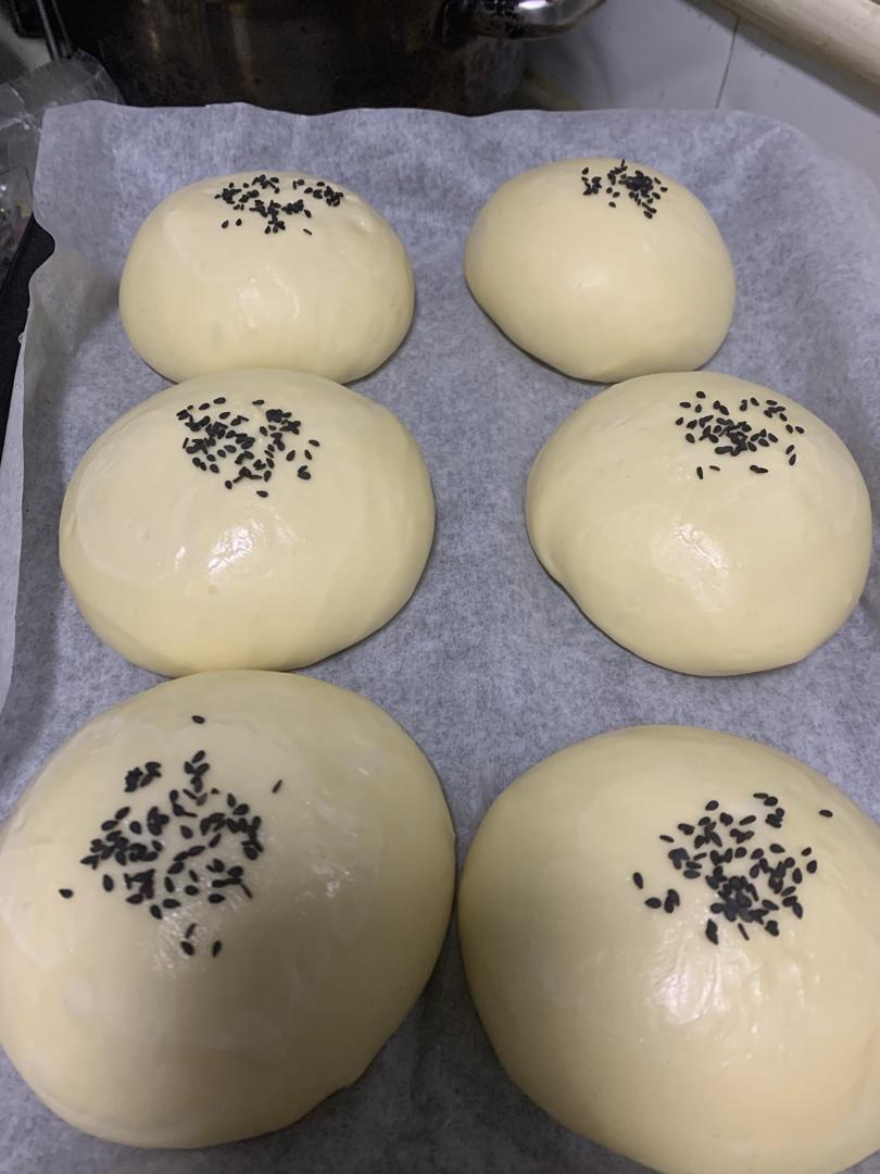 汉堡包面包胚
