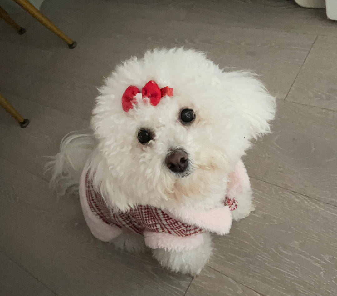 小菜鸟偷学菜谱