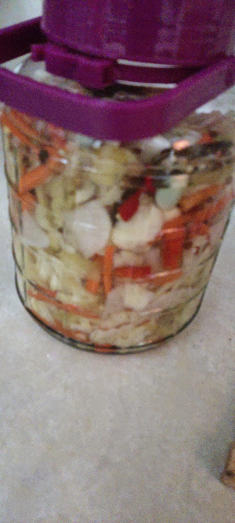 家常白菜炖豆腐（家人最爱这一口）