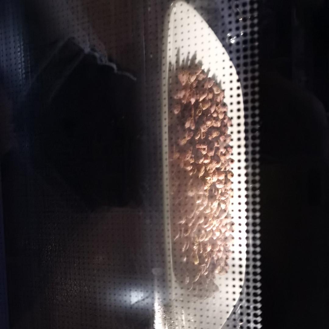 五香花生米～烤箱最简单版，比卖的还好吃）