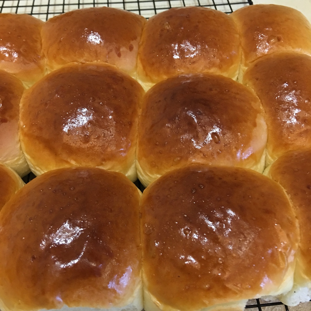 鲜奶油小餐包（一次发酵）