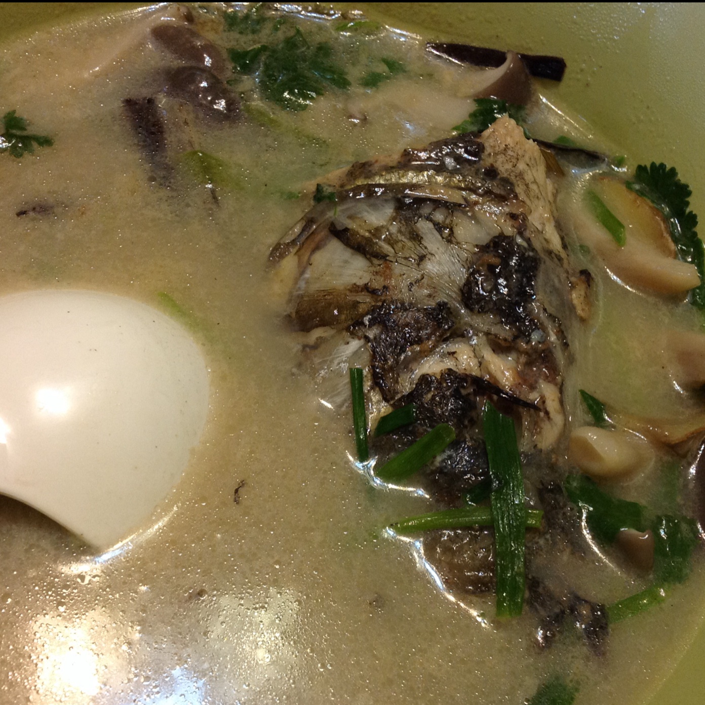 豆腐鱼头汤
