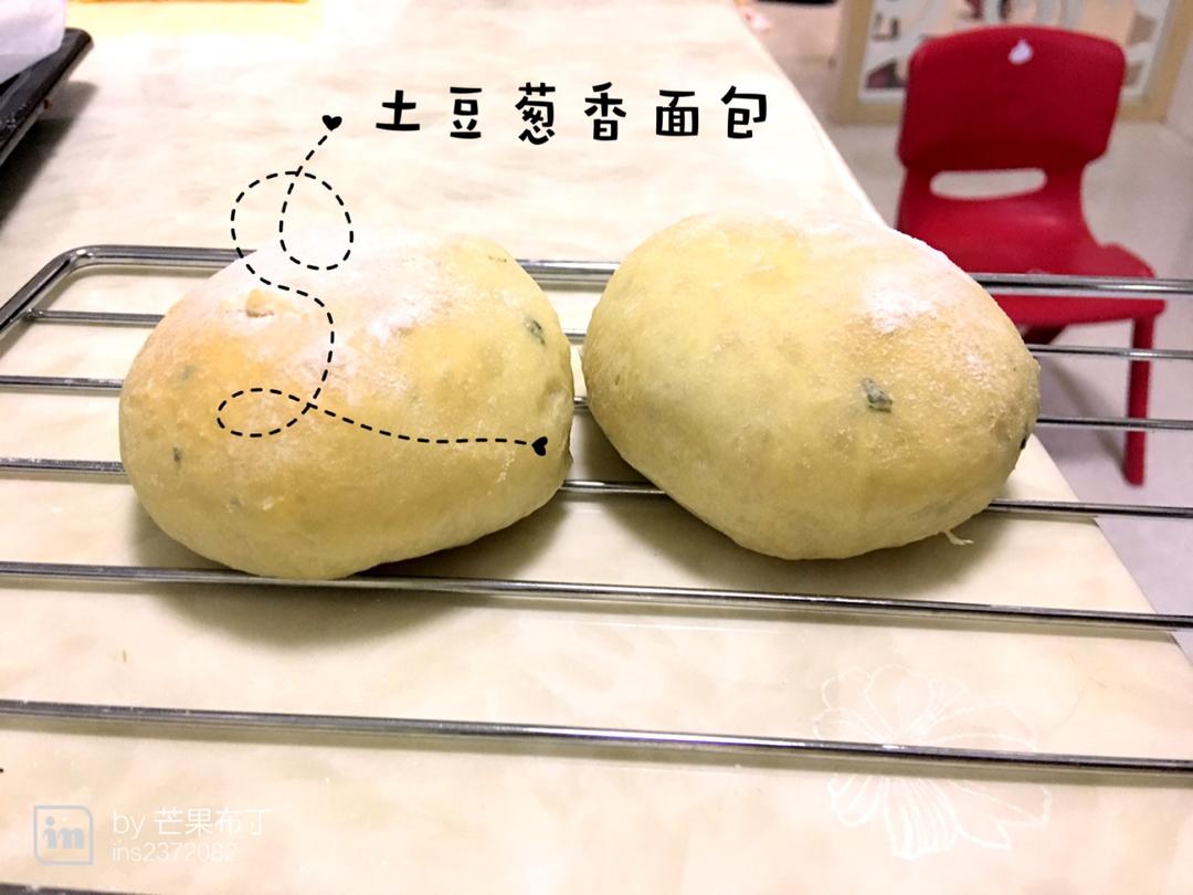 迷你土豆香葱餐包