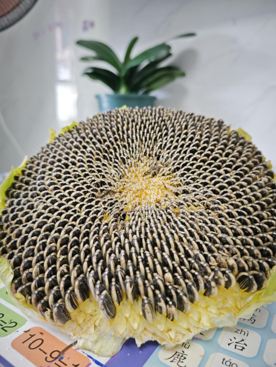 炒原味瓜子