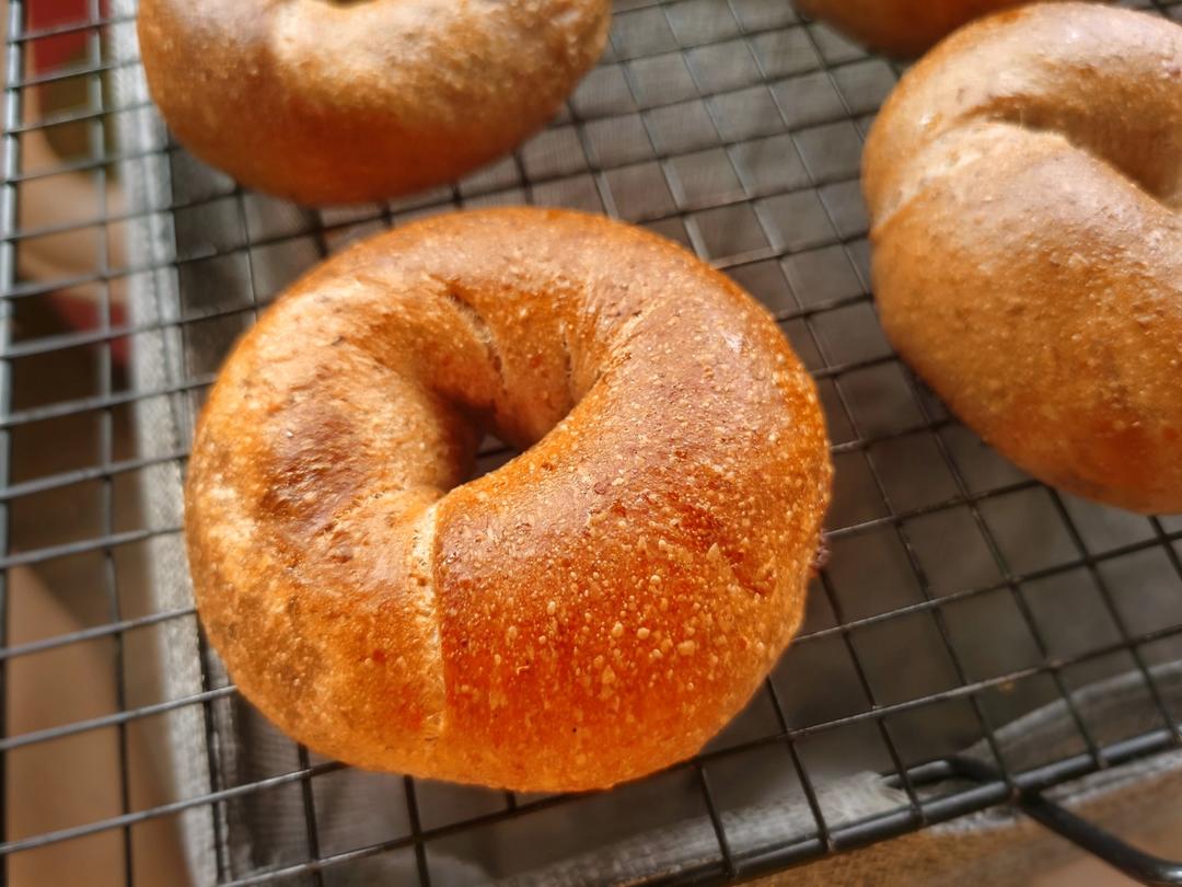 玫瑰酵液乳酪贝果-附旋风整形视频