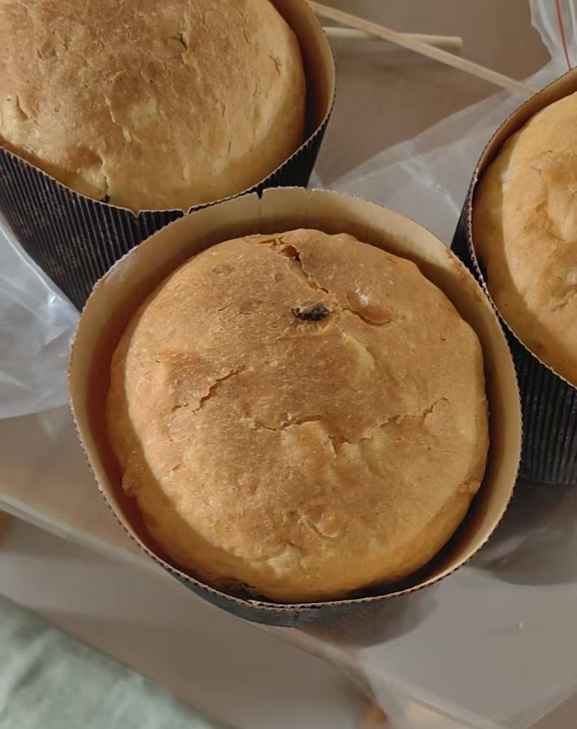 潘娜托尼 圣诞面包           Panettone（中种法）