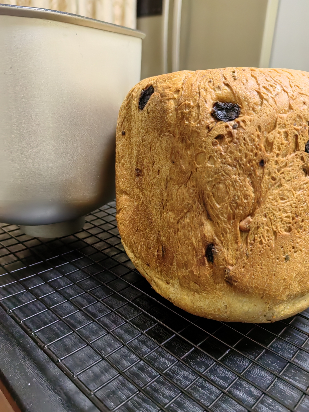 面包机做面包（适用于懒人）