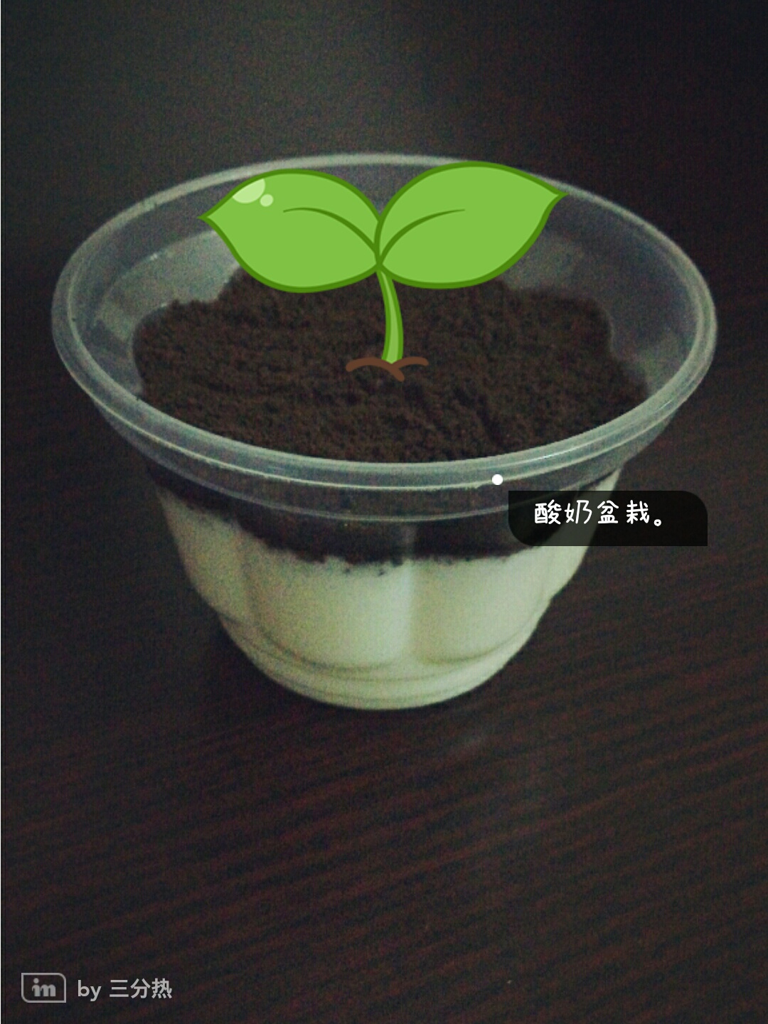 盆栽酸奶