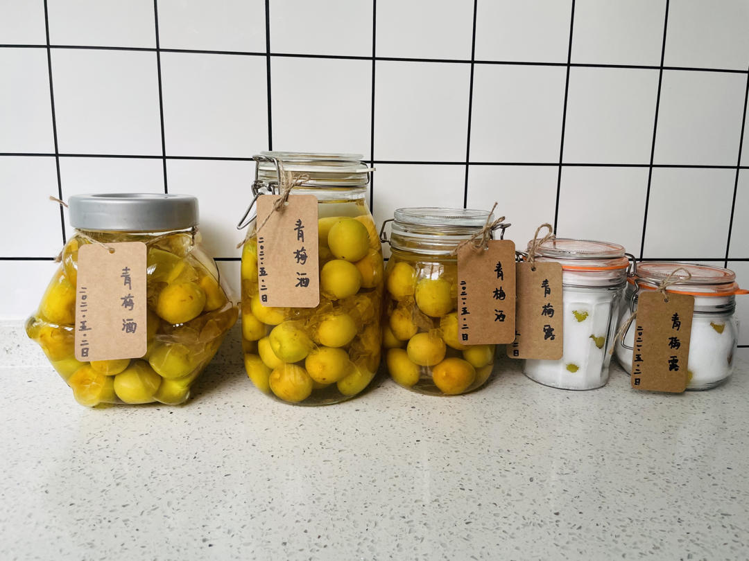 零失败【青梅酒 & 梅子露】梅子的沉淀岁月