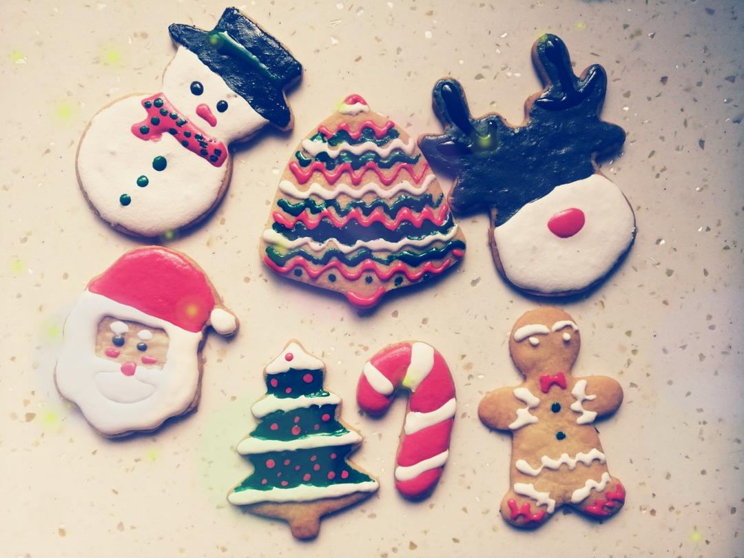 老虎__风云做的适合手残党/第一次动手/圣诞节主题糖霜饼干